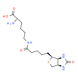 ChemSpider 2D Image | Biocytin | C16H28N4O4S