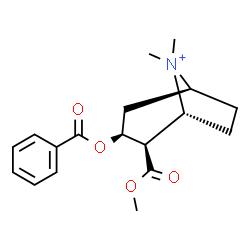 ChemSpider 2D Image | (1R,2R,3S,5S)-3-(Benzoyloxy)-2-(methoxycarbonyl)-8,8-dimethyl-8-azoniabicyclo[3.2.1]octane | C18H24NO4