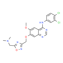 ChemSpider 2D Image | N-(3,4-Dichlorophenyl)-7-({5-[(dimethylamino)methyl]-1,2,4-oxadiazol-3-yl}methoxy)-6-methoxy-4-quinazolinamine | C21H20Cl2N6O3