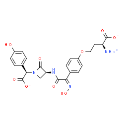 ChemSpider 2D Image | (2S)-2-Ammonio-4-{4-[(1Z)-2-({(3S)-1-[(R)-carboxylato(4-hydroxyphenyl)methyl]-2-oxo-3-azetidinyl}amino)-N-hydroxy-2-oxoethanimidoyl]phenoxy}butanoatato(8-) | C23H23N4O9