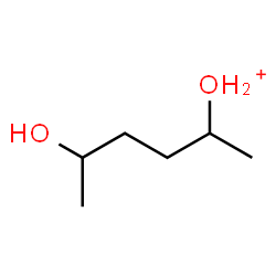 ChemSpider 2D Image | (5-Hydroxy-2-hexanyl)oxonium | C6H15O2