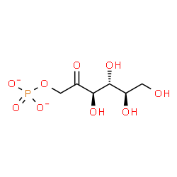 ChemSpider 2D Image | 1-O-Phosphonato-D-psicose | C6H11O9P