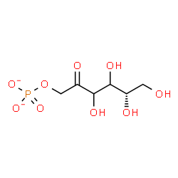 ChemSpider 2D Image | 1-O-Phosphonato-L-glycero-hex-2-ulose | C6H11O9P