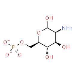 ChemSpider 2D Image | 2-Amino-2-deoxy-6-O-phosphonato-D-glucopyranose | C6H12NO8P