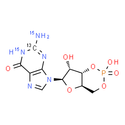ChemSpider 2D Image | 2-(~15~N)Amino-9-[(4aR,6R,7R,7aS)-2,7-dihydroxy-2-oxidotetrahydro-4H-furo[3,2-d][1,3,2]dioxaphosphinin-6-yl](2-~13~C,1-~15~N)-1,9-dihydro-6H-purin-6-one | C913CH12N315N2O7P