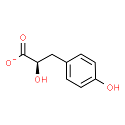 ChemSpider 2D Image | (2R)-2-Hydroxy-3-(4-hydroxyphenyl)propanoate | C9H9O4