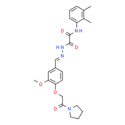 ChemSpider 2D Image | N-(2,3-Dimethylphenyl)-2-[(2E)-2-{3-methoxy-4-[2-oxo-2-(1-pyrrolidinyl)ethoxy]benzylidene}hydrazino]-2-oxoacetamide | C24H28N4O5