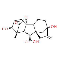 ChemSpider 2D Image | (1R,2R,5S,8S,9S,10R,11R,12S)-5,12-Dihydroxy-11-methyl-6-methylene-16-oxo-15-oxapentacyclo[9.3.2.1~5,8~.0~1,10~.0~2,8~]heptadec-13-ene-9-carboxylic acid | C19H22O6