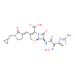 ChemSpider 2D Image | (6R,7R)-7-{[(2Z)-2-(2-Amino-1,3-thiazol-4-yl)-2-(hydroxyimino)acetyl]amino}-3-{(E)-[1-(cyclopropylmethyl)-2-oxo-3-pyrrolidinylidene]methyl}-8-oxo-5-thia-1-azabicyclo[4.2.0]oct-2-ene-2-carboxylic acid | C21H22N6O6S2