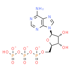 ChemSpider 2D Image | 5'-O-[({[(Hydroxyphosphinato)oxy]phosphinato}oxy)phosphinato]adenosine | C10H13N5O13P3