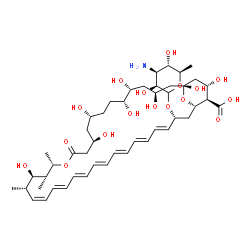 ChemSpider 2D Image | (1R,3S,5R,6R,9R,11R,15S,16R,17R,18S,19Z,21E,23E,25E,27E,29E,31E,33R,35S,36R,37S)-33-[(3-Amino-3,6-dideoxy-D-mannopyranosyl)oxy]-1,3,5,6,9,11,17,37-octahydroxy-15,16,18-trimethyl-13-oxo-14,39-dioxabicy
clo[33.3.1]nonatriaconta-19,21,23,25,27,29,31-heptaene-36-carboxylic acid | C47H73NO17
