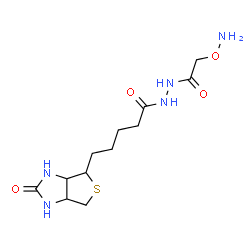 ChemSpider 2D Image | N'-[(Aminooxy)acetyl]-5-(2-oxohexahydro-1H-thieno[3,4-d]imidazol-4-yl)pentanehydrazide | C12H21N5O4S