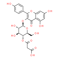 ChemSpider 2D Image | 5,7-Dihydroxy-2-(4-hydroxyphenyl)-4-oxo-4H-chromen-3-yl 4-O-(carboxyacetyl)-beta-L-glucopyranoside | C24H22O14