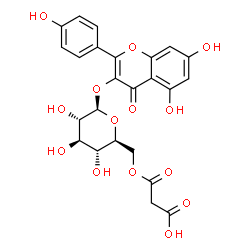 ChemSpider 2D Image | 5,7-Dihydroxy-2-(4-hydroxyphenyl)-4-oxo-4H-chromen-3-yl 6-O-(carboxyacetyl)-beta-L-glucopyranoside | C24H22O14
