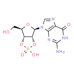 ChemSpider 2D Image | 2',3'-Cyclic GMP | C10H12N5O7P