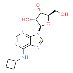 ChemSpider 2D Image | N-Cyclobutyladenosine | C14H19N5O4