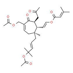 ChemSpider 2D Image | (E)-2-[(1S,2S,7S)-5-(Acetoxymethyl)-2-[(2E)-4-acetoxy-4-methyl-2-penten-1-yl]-2-methyl-6-oxo-7-(2-oxopropyl)-4-cyclohepten-1-yl]vinyl 3-methyl-2-butenoate | C29H40O8