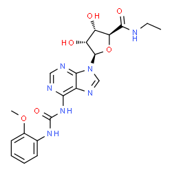 ChemSpider 2D Image | (2S,3S,4R,5R)-N-Ethyl-3,4-dihydroxy-5-(6-{[(2-methoxyphenyl)carbamoyl]amino}-9H-purin-9-yl)tetrahydro-2-furancarboxamide | C20H23N7O6