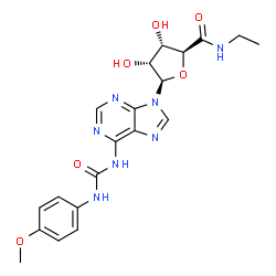 ChemSpider 2D Image | (2S,3S,4R,5R)-N-Ethyl-3,4-dihydroxy-5-(6-{[(4-methoxyphenyl)carbamoyl]amino}-9H-purin-9-yl)tetrahydro-2-furancarboxamide | C20H23N7O6