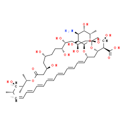 ChemSpider 2D Image | (1R,3S,5R,6R,9R,11R,15S,16R,17R,18S,19Z,21E,23E,25E,27E,29E,31E,33R,35S,36R,37S)-33-[(3-Amino-3,6-dideoxy-alpha-L-gulopyranosyl)oxy]-1,3,5,6,9,11,17,37-octahydroxy-15,16,18-trimethyl-13-oxo(17,19,37-~
13~C_3_)-14,39-dioxabicyclo[33.3.1]nonatriaconta-19,21,23,25,27,29,31-heptaene-36-carboxylic acid | C4413C3H73NO17