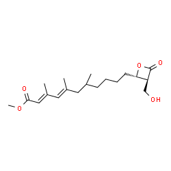 ChemSpider 2D Image | Methyl (2E,4E)-11-[(2S,3S)-3-(hydroxymethyl)-4-oxo-2-oxetanyl]-3,5,7-trimethyl-2,4-undecadienoate | C19H30O5
