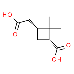 ChemSpider 2D Image | (1R,3R)-3-(Carboxymethyl)-2,2-dimethylcyclobutanecarboxylic acid | C9H14O4