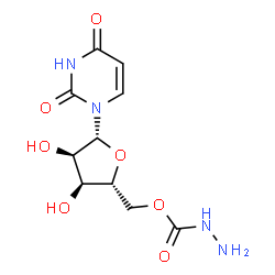 ChemSpider 2D Image | 5'-O-(Hydrazinocarbonyl)uridine | C10H14N4O7