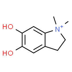 ChemSpider 2D Image | 5,6-Dihydroxy-1,1-dimethyl-2,3-dihydro-1H-indolium | C10H14NO2
