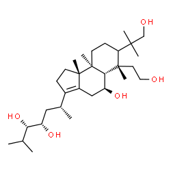 ChemSpider 2D Image | (3S,4S,6R)-6-[(5S,5aS,6S,9aS,9bR)-5-Hydroxy-6-(2-hydroxyethyl)-7-(1-hydroxy-2-methyl-2-propanyl)-6,9a,9b-trimethyl-2,4,5,5a,6,7,8,9,9a,9b-decahydro-1H-cyclopenta[a]naphthalen-3-yl]-2-methyl-3,4-heptan
ediol | C30H54O5