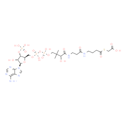 ChemSpider 2D Image | (9R)-1-[(2R,3S,4R,5R)-5-(6-Amino-9H-purin-9-yl)-4-hydroxy-3-(phosphonooxy)tetrahydro-2-furanyl]-3,5,9-trihydroxy-8,8-dimethyl-10,14,19-trioxo-2,4,6-trioxa-20-thia-11,15-diaza-3,5-diphosphadocosan-22-o
ic acid 3,5-dioxide | C25H40N7O19P3S