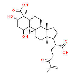 ChemSpider 2D Image | Quadrangularic acid H | C30H44O7