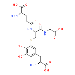 ChemSpider 2D Image | L-gamma-Glutamyl-S-{5-[(2S)-2-amino-2-carboxyethyl]-2,3-dihydroxyphenyl}-L-cysteinylglycine | C19H26N4O10S