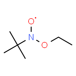 ChemSpider 2D Image | [Ethoxy(2-methyl-2-propanyl)amino]oxidanyl | C6H14NO2