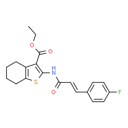 ChemSpider 2D Image | Ethyl 2-{[(2E)-3-(4-fluorophenyl)-2-propenoyl]amino}-4,5,6,7-tetrahydro-1-benzothiophene-3-carboxylate | C20H20FNO3S