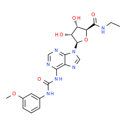 ChemSpider 2D Image | (2S,3S,4R,5R)-N-Ethyl-3,4-dihydroxy-5-(6-{[(3-methoxyphenyl)carbamoyl]amino}-9H-purin-9-yl)tetrahydro-2-furancarboxamide | C20H23N7O6
