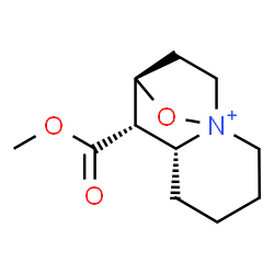 ChemSpider 2D Image | (6R,7S,8R)-7-(Methoxycarbonyl)-11-oxa-1-azoniatricyclo[6.2.1.0~1,6~]undecane | C11H18NO3