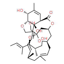 ChemSpider 2D Image | (1R,4S,6S,8R,13R,20R,21R,24S)-21,24-Dihydroxy-6-{[(2S,3S,4E)-1-hydroxy-2,4-dimethyl-4-hexen-3-yl]oxy}-6-(hydroxymethyl)-11,13,22-trimethyl-3,7,19-trioxatetracyclo[15.6.1.1~4,8~.0~20,24~]pentacosa-10,1
4,16,22-tetraen-2-one | C34H50O9