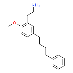 ChemSpider 2D Image | 2-[2-Methoxy-5-(4-phenylbutyl)phenyl]ethanamine | C19H25NO
