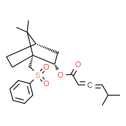 ChemSpider 2D Image | (1R,2S,4S)-7,7-Dimethyl-1-[(phenylsulfonyl)methyl]bicyclo[2.2.1]hept-2-yl 5-methyl-2,3-hexadienoate | C23H30O4S