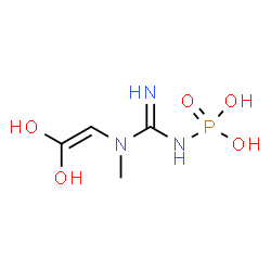 ChemSpider 2D Image | [N-(2,2-Dihydroxyvinyl)-N-methylcarbamimidoyl]phosphoramidic acid | C4H10N3O5P