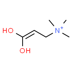 ChemSpider 2D Image | 3,3-Dihydroxy-N,N,N-trimethyl-2-propen-1-aminium | C6H14NO2