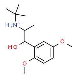 ChemSpider 2D Image | 1-(2,5-Dimethoxyphenyl)-1-hydroxy-N-(2-methyl-2-propanyl)-2-propanaminium | C15H26NO3