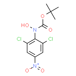 ChemSpider 2D Image | 2-Methyl-2-propanyl (2,6-dichloro-4-nitrophenyl)hydroxycarbamate | C11H12Cl2N2O5