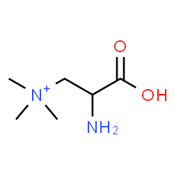 ChemSpider 2D Image | N-(2-Amino-2-carboxyethyl)-N,N-dimethylmethanaminium | C6H15N2O2