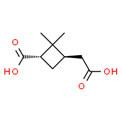ChemSpider 2D Image | (1S,3R)-3-(Carboxymethyl)-2,2-dimethylcyclobutanecarboxylic acid | C9H14O4