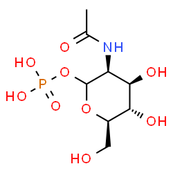 ChemSpider 2D Image | 2-Acetamido-2-deoxy-1-O-phosphono-D-mannopyranose | C8H16NO9P