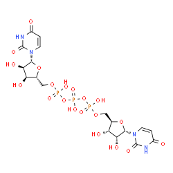 ChemSpider 2D Image | [[[(2R,3S,4R,5R)-5-(2,4-dioxopyrimidin-1-yl)-3,4-dihydroxy-tetrahydrofuran-2-yl]methoxy-hydroxy-phosphoryl]oxy-hydroxy-phosphoryl] [(2R,3S,4R,5R)-5-(2,4-dioxopyrimidin-1-yl)-3,4-dihydroxy-tetrahydrofuran-2-yl]methyl hydrogen phosphate | C18H25N4O20P3