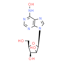 ChemSpider 2D Image | N-Hydroxy-9-[(2xi)-beta-D-threo-pentofuranosyl]-9H-purin-6-amine | C10H13N5O5
