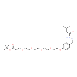 ChemSpider 2D Image | 2-Methyl-2-propanyl 1-(4-{(Z)-[(3-methylbutanoyl)hydrazono]methyl}phenoxy)-3,6,9,12-tetraoxapentadecan-15-oate | C27H44N2O8