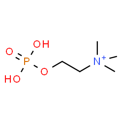 ChemSpider 2D Image | Phosphocholine conjugate acid | C5H15NO4P